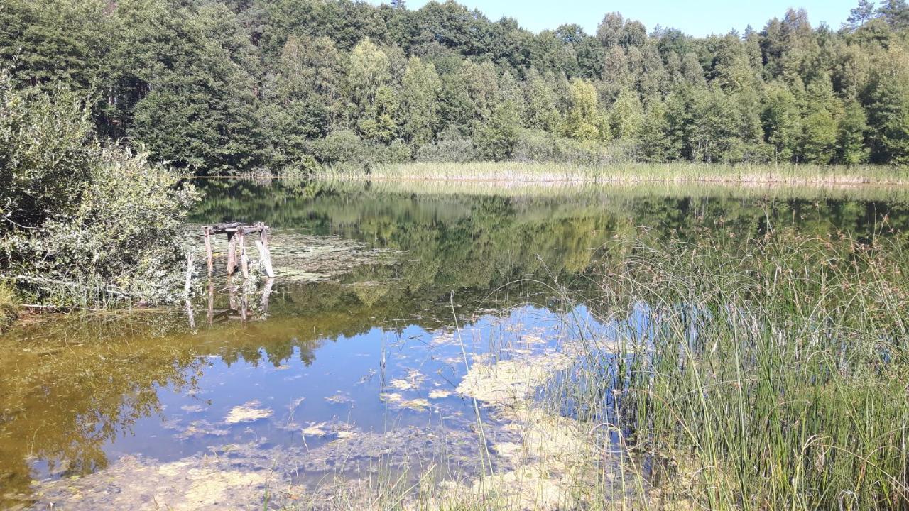 Bakusiowy Zakatek Lägenhet Lipowo Kurkowskie Exteriör bild