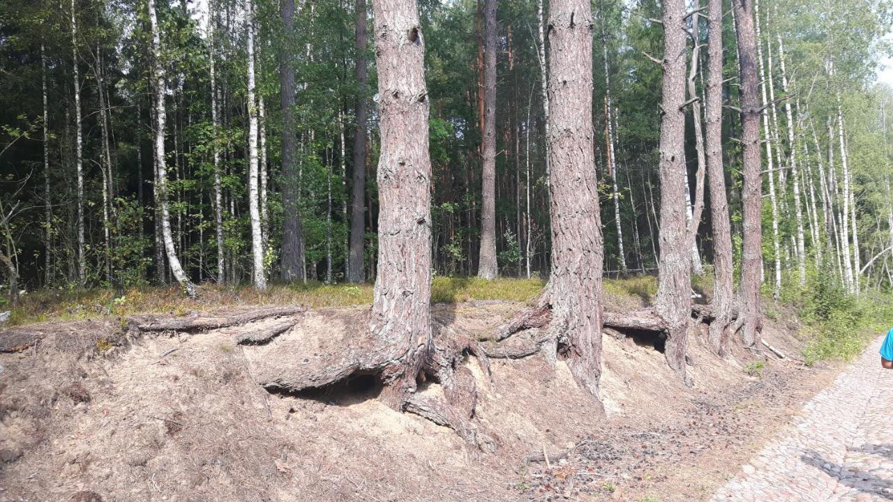 Bakusiowy Zakatek Lägenhet Lipowo Kurkowskie Exteriör bild