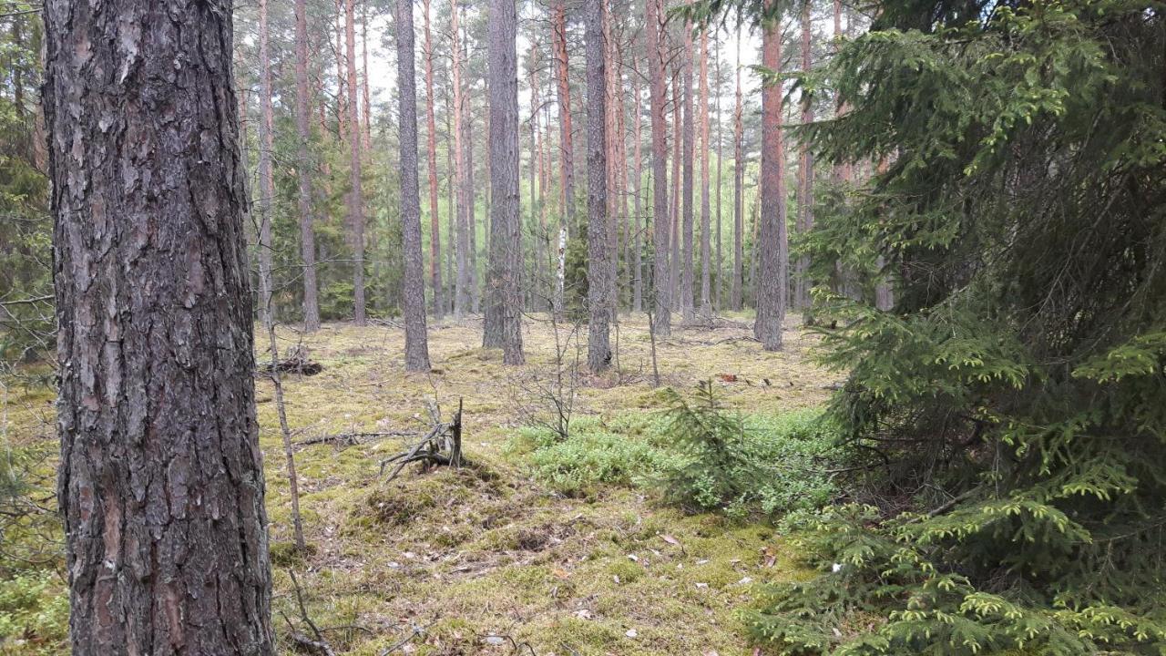 Bakusiowy Zakatek Lägenhet Lipowo Kurkowskie Exteriör bild